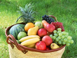 简述水果的营养特点