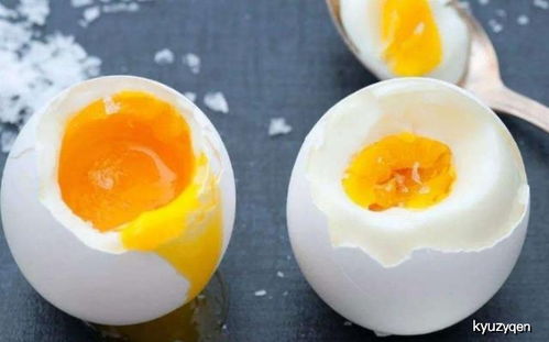 鸡蛋的营养成分有多高