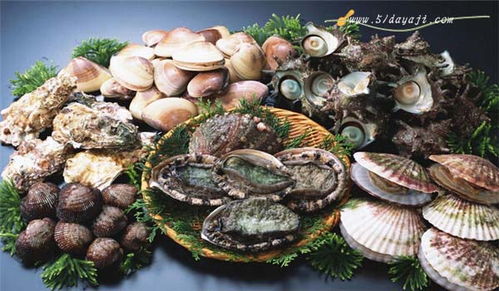 生吃海鲜品种大全及名字介绍