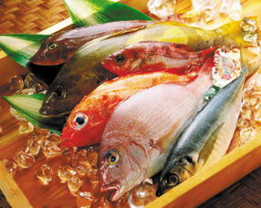 天津买鱼市场