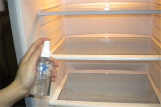 冰箱怎么能除臭