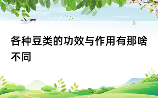 各种豆类的功效与作用有那啥不同