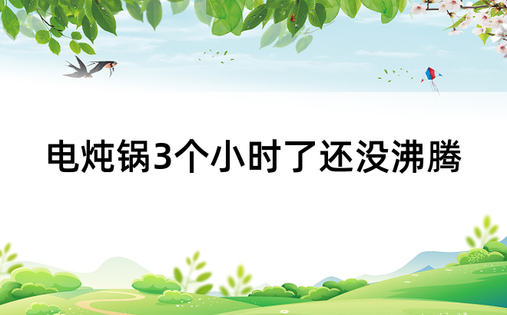 电炖锅3个小时了还没沸腾