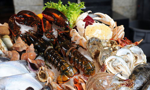 各种海鲜最佳食用季节