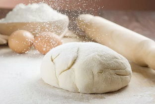 面粉种类与用途解析：从面包到蛋糕，不同种类的面粉让你的烘焙更丰富多彩！