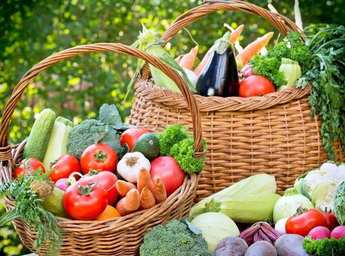 时令蔬菜搭配的营养原则是，时令蔬菜搭配的营养原则