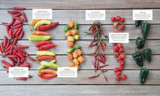 辣椒的辣度分别：品种、成熟度与存储方式的综合影响
