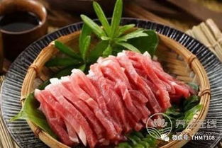 春季荤菜美食攻略：从鸡肉到兔肉的全方位选择