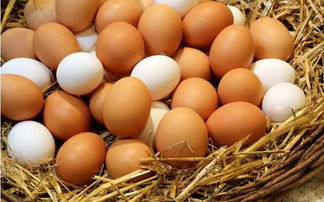 鸡蛋的营养成分与选择技巧