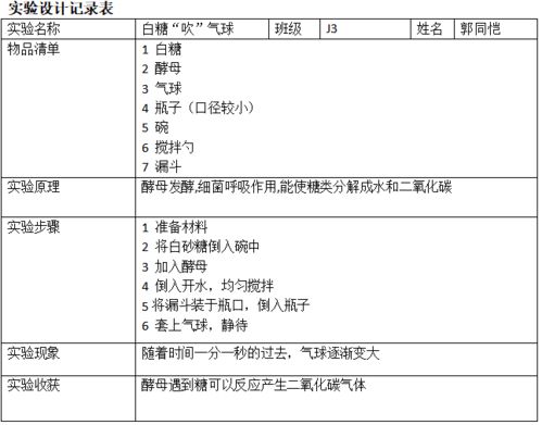 夏季降温果汁的制作实验报告