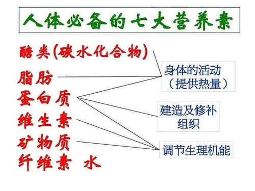 季节性食材搭配的营养学原理是