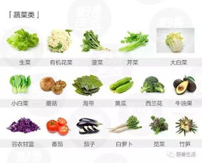 低碳食物什么意思