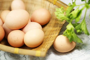 鸡蛋的营养分配