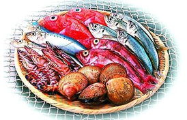 生吃海鲜品种大全及名字