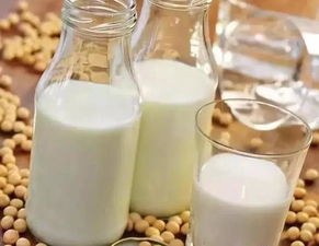 植物奶可以补钙吗