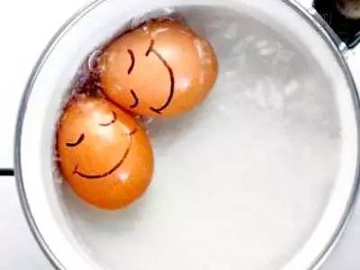 鸡蛋的营养含量成分及功效