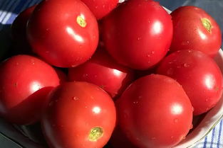 番茄红素对身体健康有什么作用