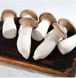 菌菇类菜品