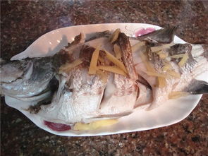 清蒸海鲈鱼的做法大全家常菜
