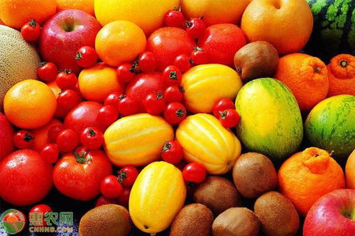 时令水果和应季水果是一个意思吗
