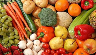 植物性食物与动物性食物各包含哪些营养素