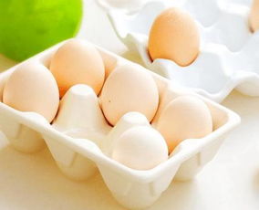 鸡蛋的营养成分比例