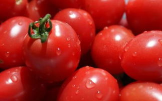 番茄红素对前列腺有好处吗