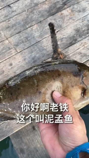 你知道哪些储存鱼的方法