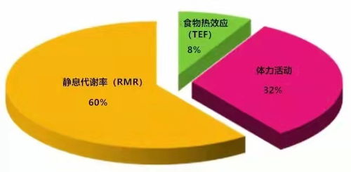 运动前后如何安排饮食和运动