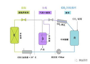 何谓天然香料