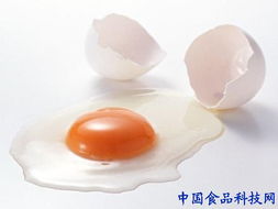 鸡蛋的营养价成分表