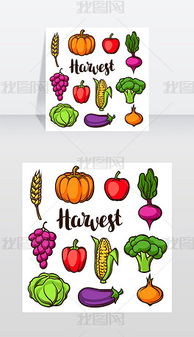 秋季的时令水果和蔬菜