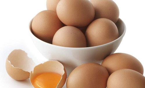 鸡蛋的营养成分分析方法