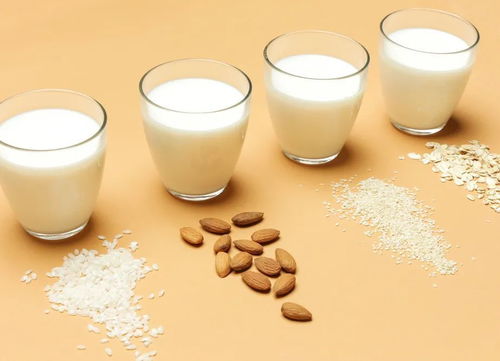 植物奶可以取代牛奶吗