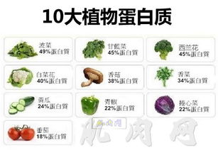十大高蛋白质蔬菜