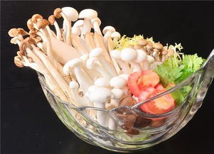 菌菇菜品系列
