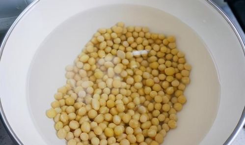 非转基因豆子可以吃吗