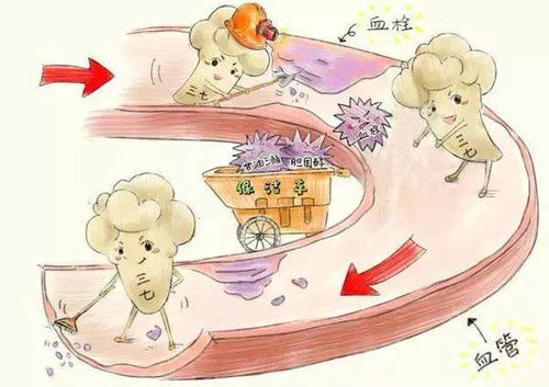 心脑血管疾病怎样预防与治疗