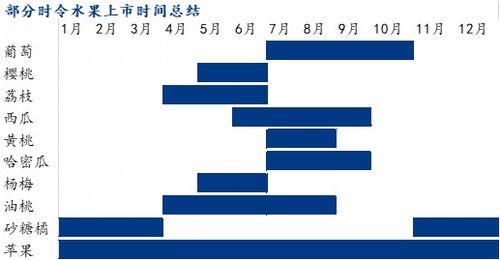 时令水果上市时间表